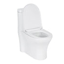 Vaso Sanitário Acoplado (monobloco) Smart 225 + Anel de vedação + Mangueira flexivel – Smart Norte